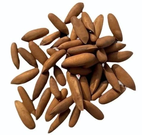 Pinenuts/Chilguza (With Shell)